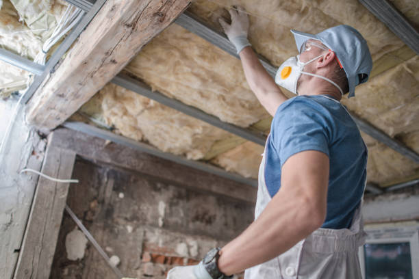 Best Commercial Insulation in Advae, NC